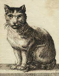 oil on wood the metropolitan museum of art cat painting cat art cats