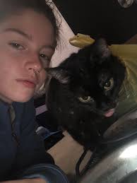 Akira has been very nice today so here is a nice picture of her blocking my  view. 😽☝🏻 (Maybe she should have her own insta profile. 🐈‍⬛) #akira #cat  #metalcat