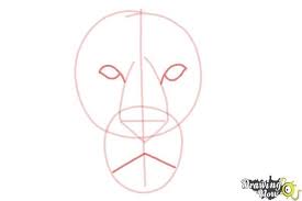 How To Draw A Lion Face Did You Know That The Lion Is Considered To Be The Second To The Largest Cat Ri Lion Face Drawing Lion Drawing Simple Lion Head Drawing