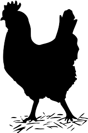 Black And White Hen Clipart Black Solid Chicken Chicken Illustration Chicken Clip Art Silhouette Vector