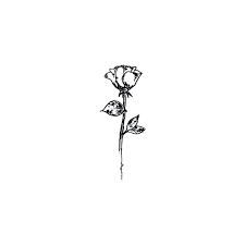 A Single Illustrated Rose Tattoos Rose Tattoos Finger Tattoos