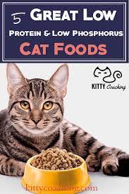 Einige Katzen Brauchen Eine Proteinarme Phosphorarme Diat In Diesem Artikel Besprechen Wir W Best Of Kitty Coaching Animals Cat Food Reviews Cat Food Low Phosphorus Diet