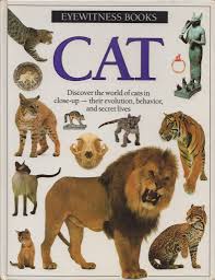 Eyewitness Books With Every Subject Imaginable Nostalgia Books Nostalgia Old Commercials