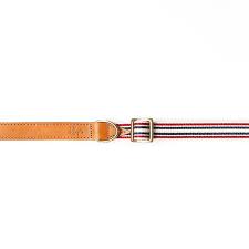 Collier Pour Chien Leonard Kleps Com Klep S Chezkleps Photos Et Videos Instagram Accessories Belt