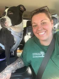 Hello I am making this post in hopes of finding a forever home to my best  friend. Being one of the hardest things I have ever done in my life I will