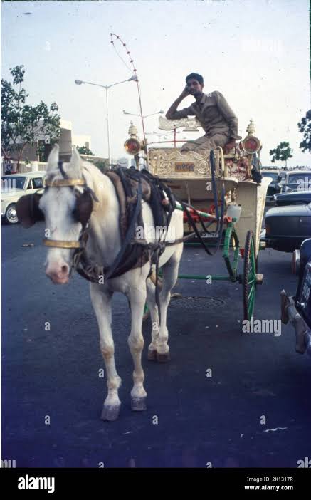 Horse Cart, Marine Drive, Mumbai Stock Photo - Alamy