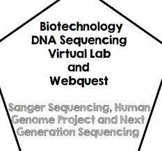 Your young learners are already developing sequencing skills as they follow familiar routines such as first eating lunch, then playing outside or when they complete a daily bedtime routine of bath, toothbrushing, story, and lights. Dna Sequencing Worksheets Teaching Resources Tpt