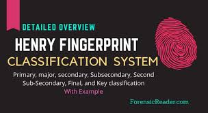 Henry S Fingerprint Classification System Key Major Primary Secondary