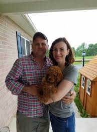 The goldendoodle came into existence by breeding a golden retriever to a poodle. Goldendoodle Puppies In Pennsylvania Pa Top 5 Breeders We Love Doodles