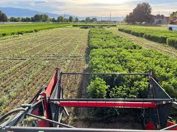 Earl Creech (@USUCropGuy)