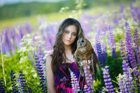 The tall, lush spires of vividly colored flowers are like floral traffic cones, compelling you to slow down and take. Lupinen Schneiden Wann Und Wie Macht Man Das