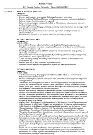 Creating a perfect freelance it consultant resume has never been that easy! Browse Our Sample Of Physical Therapist Job Description Template Job Description Template Physical Therapist Assistant Job Description