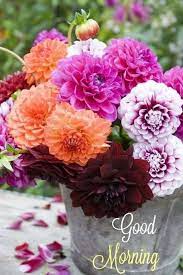 Pin By Kathi Wilcox On Good Morning Types Of Flowers Beautiful Flowers Flowers