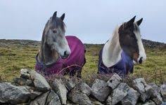 Slikovni rezultat za aran islands in front of galway