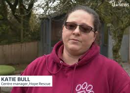 We had a starring role