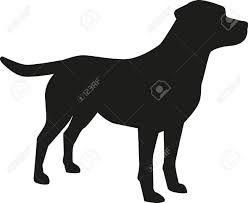 Labrador Retriever Silhouette Labrador Silhouette Silhouette Art Silhouette