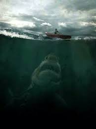 In habit, the calm of the storm. 12 Megalodon Ideas Megalodon Megalodon Shark Great White Shark