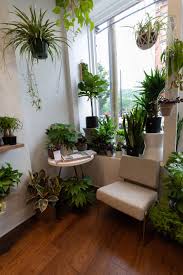 Cincinnati The Luxury Travel Guide Annie Fairfax Kitchen Plants Plants Air Purifying House Plants
