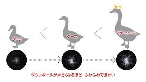 羽毛布団の種類 | カヴァース
