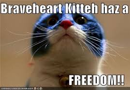 25 best memes about william wallace freedom william. Braveheart Kitteh I Can Has Cheezburger