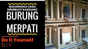 Menjalin hubungan berarti saling berbagi bukan hanya cerita tetapi juga apa yang dirasa. Diy Cara Mudah Membuat Kandang Burung Dara Murahhhh By Kanesibahouse