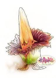 Pin On Corpse Flower