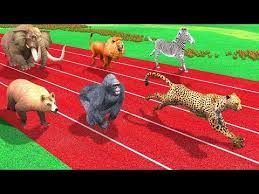 Wild Animals Running Race Videos For Kids Youtube Animals Wild Animals Youtube Kids