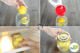 We did not find results for: How To Store Lemons And Lemon Juice For Up To 3 Months Fab How
