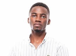 Obscuring historical perspective: A critique of shallow politics stalling  Africa's progress