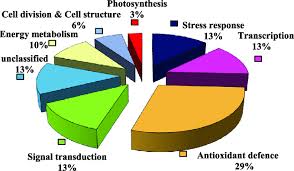 pie chart illustrating the assignment of the identified