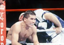 Julio cesar chavez is a retired boxer of mexican origin. 20 20 Vision The Greatest Fighter From Mexico Julio Cesar Chavez The Ring
