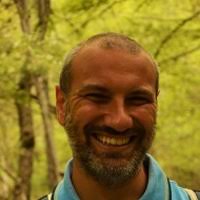 PDF) Latin Accusativus cum Participio: syntactic description, evidential  values, and diachronic development