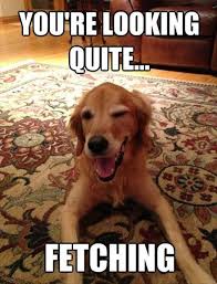 You are amazing memes for her. 121 Best Funny I Love You Memes For Her Him 2021