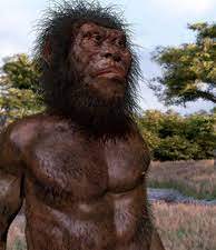 Sie waren nach ihrem tod in eine höhle geraten, die schon damals für homo sapiens genau wie für h. Homo Naledi Male Illustration Stock Image C040 3173 Science Photo Library