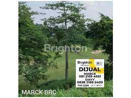 We did not find results for: The Sagamore Hills Taman Dayu Pandaan Pasuruan Jawa Timur Land Development For Sale Realestate Com Au