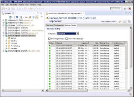 <p>better housekeeping was voted monmouth county best appliance store for 2010. Sep Hybrid Backup Release Beefalo V2