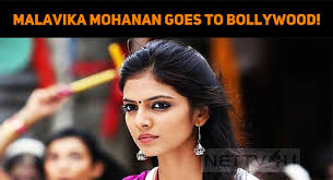 Malavika mohanan (born 4 august 1993) is an indian film actress, who has worked in the malayalam and tamil language films. Malavika Mohanan Goes To Bollywood Nettv4u