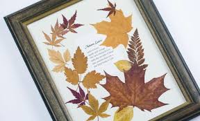 Deckblatt herbarium 4 deckblatt herbarium vorlage deckblatt. Herbarium Anlegen Tipps Techniken Zum Trocknen Der Blumen