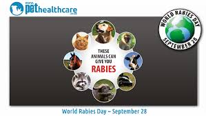 A fit of sulkiness, esp at what is felt to be a slight; Rabies Pet Health Care Rabies What Is It And How To Help Prevent It