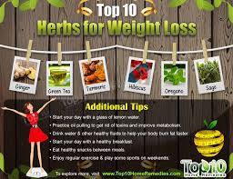To make oolong tea add some. Top 10 Herbs For Weight Loss Top 10 Home Remedies