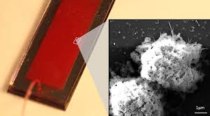 According to the world cancer research fund international, our diet plays an important role in developing certain cancers. Scientists Farm Natural Killer Cells In Novel Cancer Fighting Approach Advanced Science News