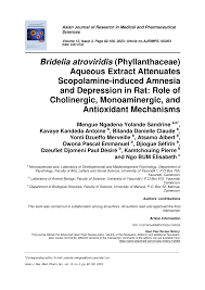 Image result for Bridelia atroviridis