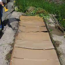 There are various more backbreaking ways to make a new garden bed, but in recent years i've often relied upon the magic of recyclables: My First No Dig Garden Experiment
