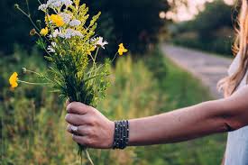 Lupine (lupinus perennis) and borage (borago officinalis) grow along roads and reach medium height. Woman Holding A Bouquet Of Wild Flowers By A Road Side At Sunset By Gabriel Gabi Bucataru