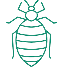 The cost of pest control will depend on the pest control service you require, the size of the area that requires the treatment and how many times. Pest Control Sunshine Coast Termite Control Safeguard Pest Control