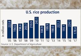 U S Rice Prices Soar Amid Sharply Lower Production Food