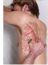 Sekumpulan orang dan/atau modal yang merupakan kesatuan baik yang melakukan usaha maupun yang tidak melakukan usaha. Sakit Badan Ini 13 Ilustrasi Bergambar Cara Urutan Tubuh Dengan Arah Yang Betul Semua Semua Semuanya