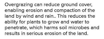 A soil compaction test uses one of several methods to measure the dry density and moisture content of the soil in place. How Does Overgrazing Cause Soil Erosion Brainly In