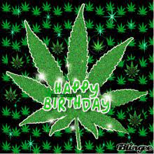 With tenor, maker of gif keyboard, add popular happy 420 animated gifs to your conversations. Happy 420 Gifs Tenor