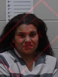 Mills, Pottawattamie County pursuit results in pair of arrests